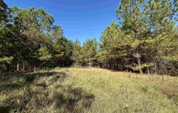 COUNTY ROAD 483 lot: 0, VINCENT, AL 35178
