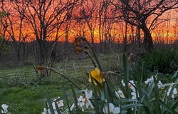 25805 Chillicothe Pike, Williamsport, OH 43164
