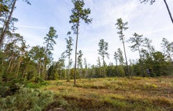 Whitehouse Fork Road, Bay Minette, AL 36507