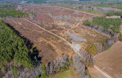 0104199 Bowers Rd., Littleton, NC 27850