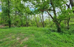 0000 Rineyville Big Springs Rd, Rineyville, KY 40162