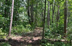 000 Cross Lake Rd, Chengwatana Twp, MN 55063