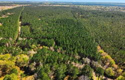 Silver Star Road, Sour Lake, TX 77659