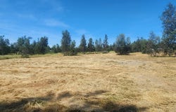 6582 Saddle Trail, Anderson, CA 96007