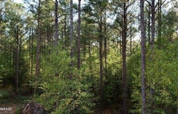4884 Hwy 13 North, Morton, MS 39117