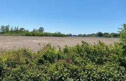 Logan Sewell Drive, Vidalia, LA 71373