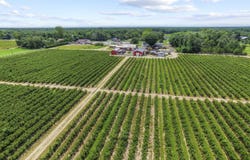 3416 Nesco Road, Hammonton, NJ 08037