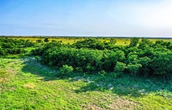 Tbd CR 141, Rule, TX 79547