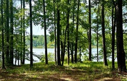 1054 Gardenia, Summit, MS 39666
