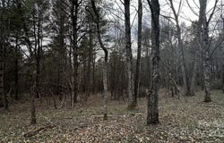 Creston, NC 28615