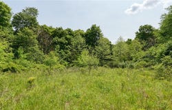 63680 Wintergreen Road, Lore City, OH 43755