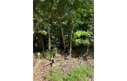 Oak Leaf Circle lot: 94, Garfield, AR 72732