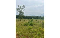 280 Martin Road, Plain Dealing, LA 71064