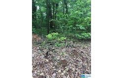 1400 29TH AVENUE lot: 31, HUEYTOWN, AL 35023