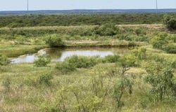 47.9 Acres W HWY 277, Seymour, TX 76380