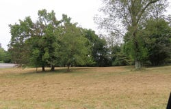 Pacific Ave., Wingo, KY 42088