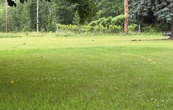 15255 Bailey Road, Bailey, MI 49303