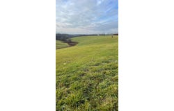 360-5 Mulligan Road, Dry Ridge, KY 41035