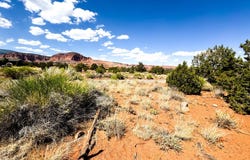 Torrey, UT 84775