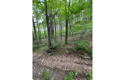 Gardner Drive, Port Jervis, NY 12771