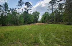 4611 NW 244TH AVENUE, ALACHUA, FL 32615