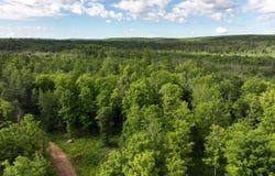 40 Acres Off Bates Amasa, Crystal Falls, MI 49920
