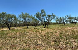 6480 Fm 603, Clyde, TX 79510