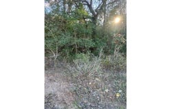 Lot 632 Hilea CT, Bastrop, TX 78692