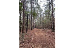 15+/- Acre Rockhill Rd., Purvis, MS 39475