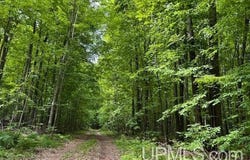 20.99 Acres Old J, Silver Cliff T-WI, WI 54104