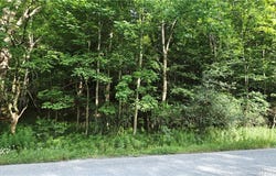 Cr-29, Harpersfield, NY 12093