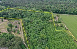 13.17 Acres COLONA ROAD, POCOMOKE CITY, MD 21851