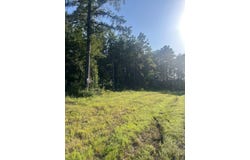 Lot #36 Eagles Nest, Broaddus, TX 75929