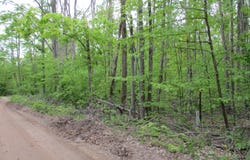 Lutz Road, Atlanta, MI 49709