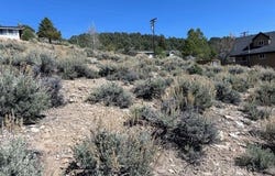 Rickey Peak Rd, Bridgeport, CA 93517