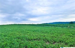 66 Long Road, Greenwich Twp, PA 19534