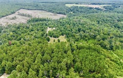 40+/-Acres Luther Davis Road, Lucedale, MS 39452