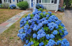239 Swan River Road, West Dennis, MA 02670