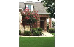 559 Rockledge Court, Frisco, TX 75036