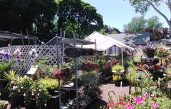 914 HARRISON Street, BRISTOL, PA 19007