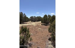 Tbd CR 8060, Concho, AZ 85924