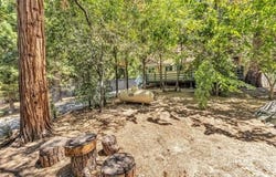 54915 S Circle DR, Idyllwild, CA 92549