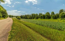 Lot 16 64.3 Acres Hefty Road, Monticello, WI 53570