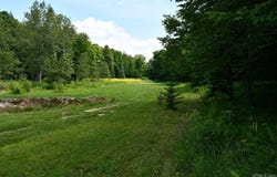 Lot #25 Fordville, Hardwood, MI 49834