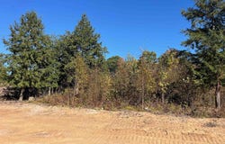 8784 Hemlock Hill Drive, Traverse City, MI 49685