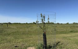 TBD Lot 2 Wild West Place, Belle Fourche, SD 57717