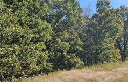 Tract D Beechnut Road, Stover, MO 65078