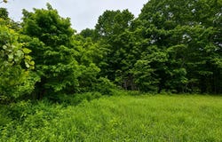 113 Wanda Drive, Squires, MO 65755