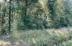 Lot 19 Trap St, Abita Springs, LA 70420