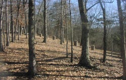 NC 2862, Marble Falls, AR 72648